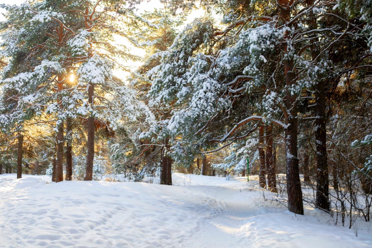 Религиовед Фоминых объяснила, как привлечь удачу в день зимнего солнцестояния